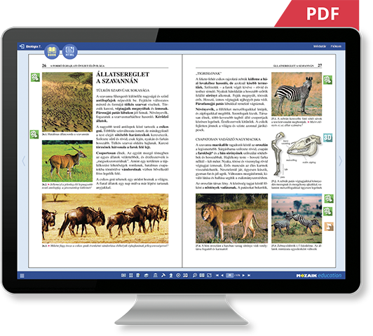 PDF или HTML