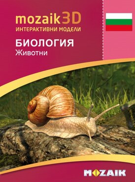 Book MS-9501-BG