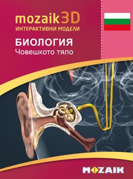 Book MS-9502-BG