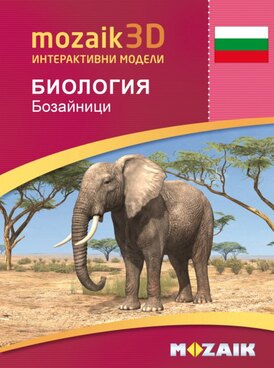 Book MS-9523-BG