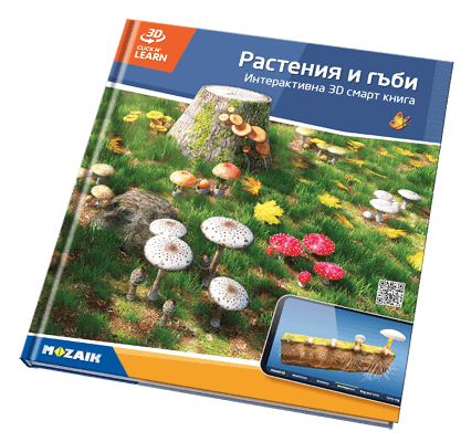 Book MS-6417-BG