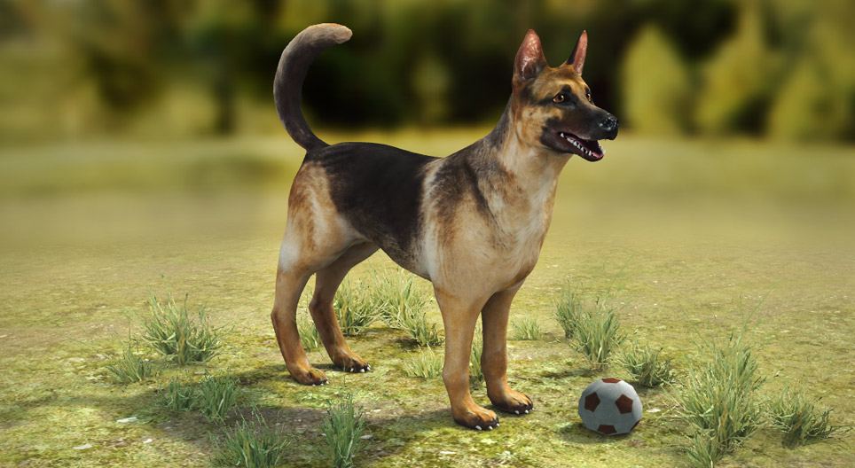 Домашно куче