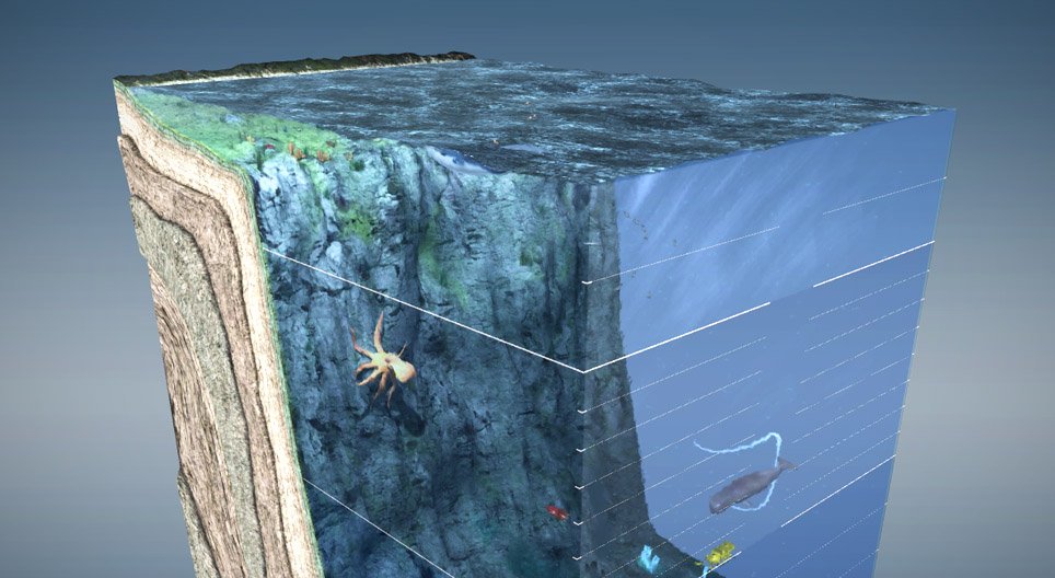 Океански слоеве