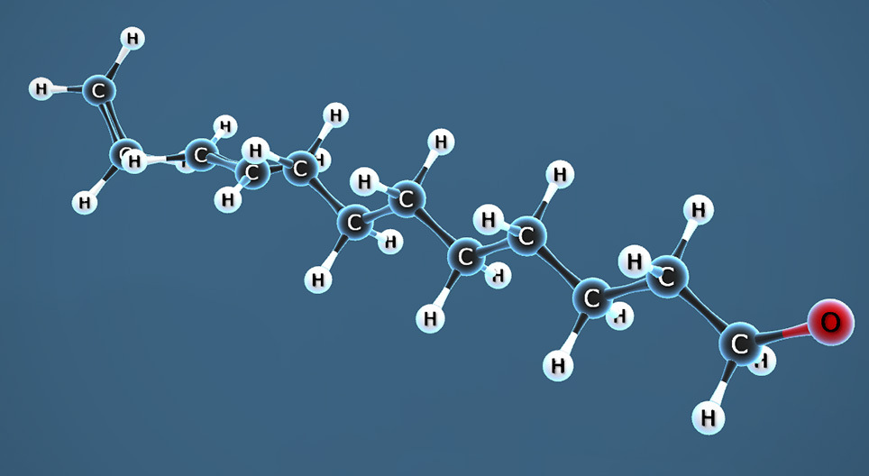 Полимеризация на етена (етилена)