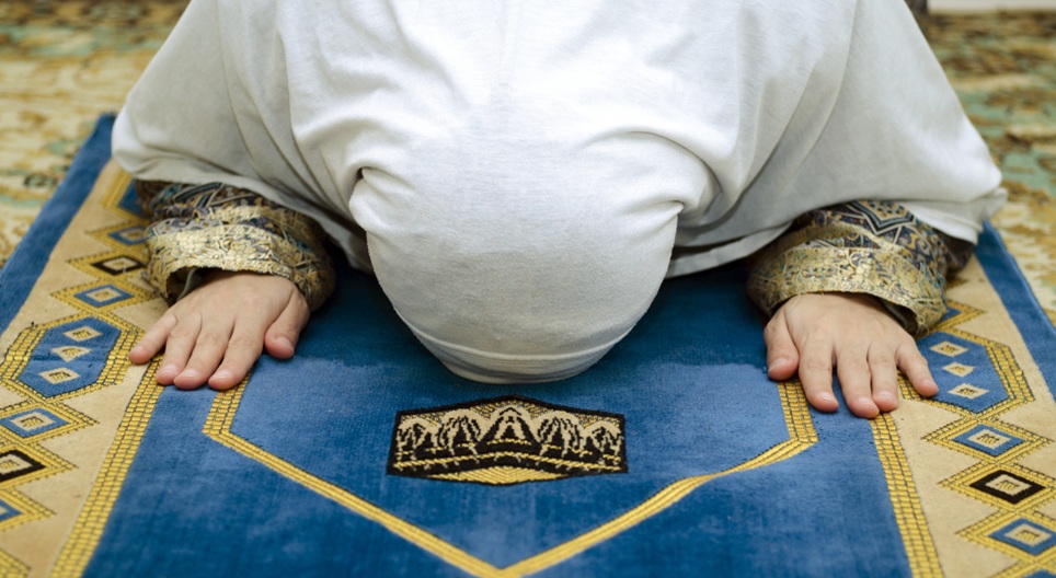 Образователни видеоклипове