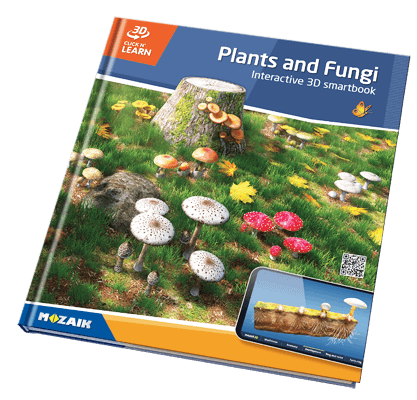 20 books with 800 3D scenes