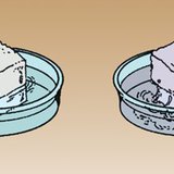 Захарта се разтваря по-бързо в топла вода