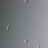 Гъбички Candida (най-често причиняват влагалищни инфекции)