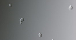 Гъбички Candida (най-често причиняват влагалищни инфекции)