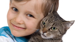 Дете, прегърнало котка