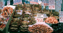 "Морските дарове" са важен хранителен източник