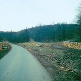 Дървен материал, нареден край пътя