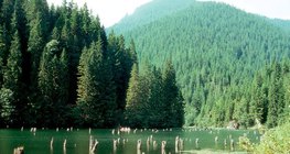 Червеното езеро