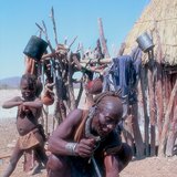 Животът в Африка