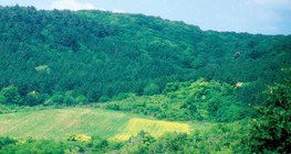 Поле за хранене на диви животни