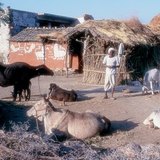 Азиатско село