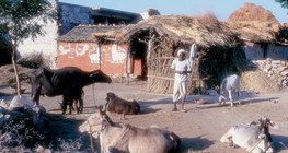 Азиатско село