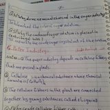 ٢٠١٨٠٣١٨_١٧١٣٥٤