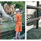 Разходка в зоопарка