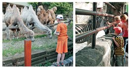 Разходка в зоопарка