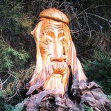 Гоблин защитник