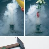 Цветята, замразени с течен въздух, стават чупливи, като порцелан