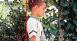 Правилна поза на тялото