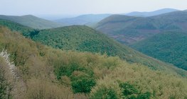 Ниски планини