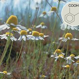 Производните на салициловата киселина имат положителен медицински ефект