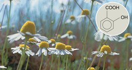 Производните на салициловата киселина имат положителен медицински ефект