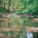 Потокът Цуха в планината Бакон