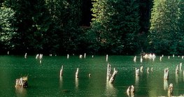 Червеното езеро в Трансилвания е образувано след свличане на почвата