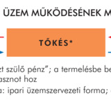Tőkés üzem működési modellje