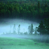 Мъглива утрин