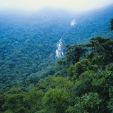 Тропическа гора