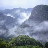 Джунглата Лакандон