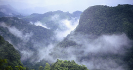 Джунглата Лакандон