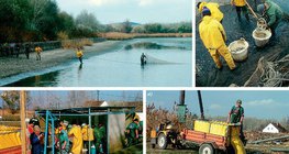 Дейности в едно риболовно стопанство