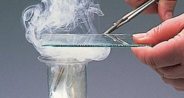 Взаимодействие между магнезий и хлор