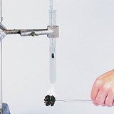 Изследваме енергията на ореха