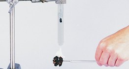 Изследваме енергията на ореха