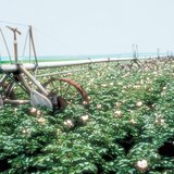 Автоматично поливно устройство