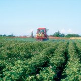 Низините са най-важните територии за селското стопанство