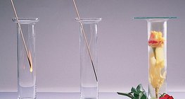 Кислородът поддържа горенето, водородът - не, а хлорът избелва