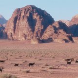 Пресъхнало корито на река (вади)