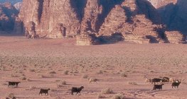 Пресъхнало корито на река (вади)