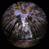 Пейзаж при пълнолуние (през обектив "Рибено око")