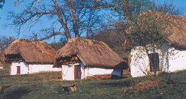 Сгради с тръстикови покриви