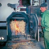 Изгаряне на тръстика