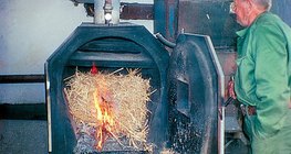 Изгаряне на тръстика